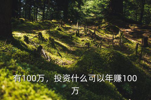 有100萬，投資什么可以年賺100萬
