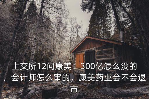 上交所12問康美：300億怎么沒的，會(huì)計(jì)師怎么審的，康美藥業(yè)會(huì)不會(huì)退市