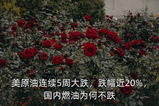 美原油連續(xù)5周大跌，跌幅近20%，國內(nèi)燃油為何不跌