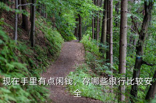 現(xiàn)在手里有點閑錢，存哪些銀行比較安全