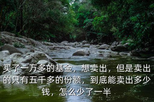 買了一萬多的基金，想賣出，但是賣出的只有五千多的份額，到底能賣出多少錢，怎么少了一半