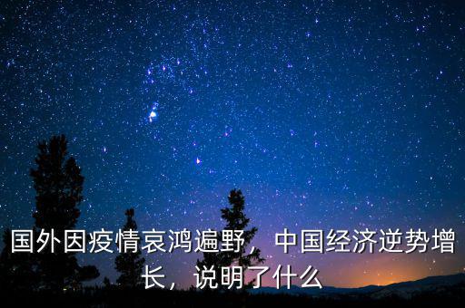 國(guó)外因疫情哀鴻遍野，中國(guó)經(jīng)濟(jì)逆勢(shì)增長(zhǎng)，說(shuō)明了什么