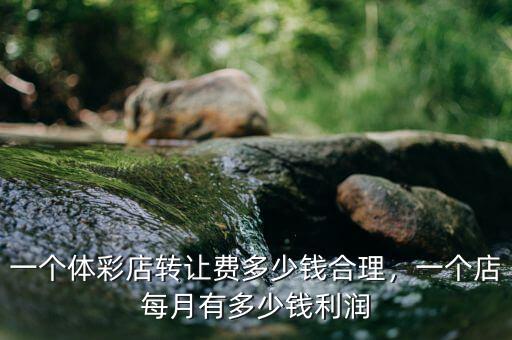 一個(gè)體彩店轉(zhuǎn)讓費(fèi)多少錢合理，一個(gè)店每月有多少錢利潤