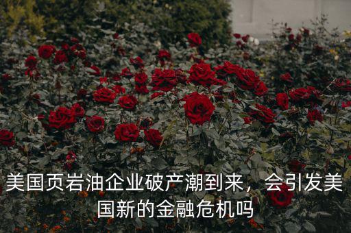 美國(guó)頁(yè)巖油企業(yè)破產(chǎn)潮到來(lái)，會(huì)引發(fā)美國(guó)新的金融危機(jī)嗎