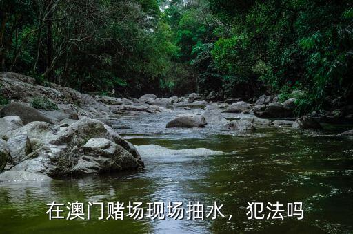在澳門賭場(chǎng)現(xiàn)場(chǎng)抽水，犯法嗎