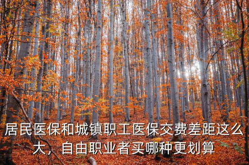 居民醫(yī)保和城鎮(zhèn)職工醫(yī)保交費差距這么大，自由職業(yè)者買哪種更劃算