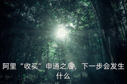 阿里“收買”申通之后，下一步會發(fā)生什么