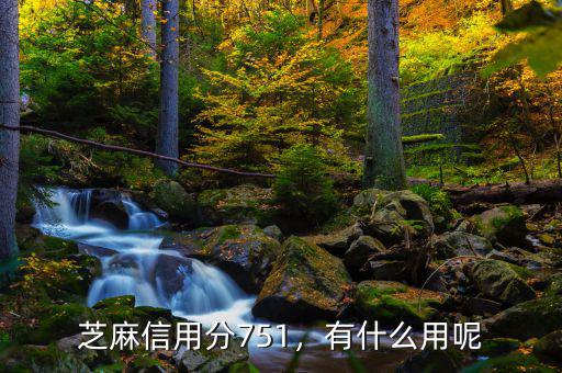 芝麻信用分751，有什么用呢
