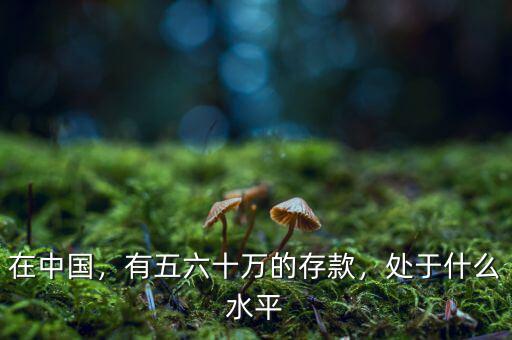 在中國(guó)，有五六十萬(wàn)的存款，處于什么水平