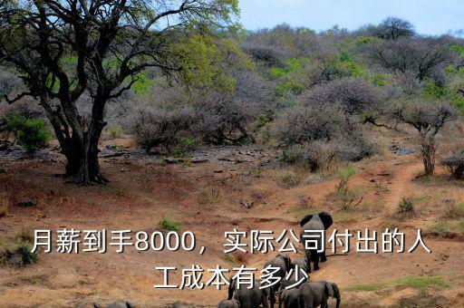 月薪到手8000，實際公司付出的人工成本有多少