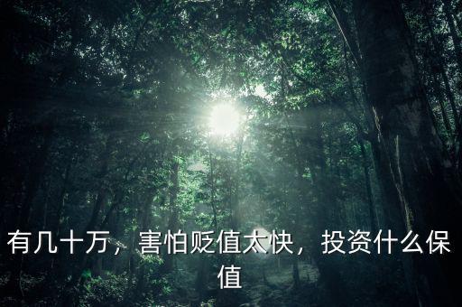有幾十萬，害怕貶值太快，投資什么保值