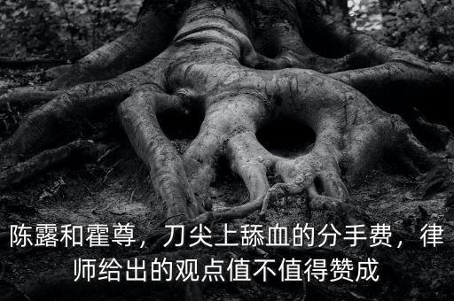 陳露和霍尊，刀尖上舔血的分手費(fèi)，律師給出的觀點(diǎn)值不值得贊成