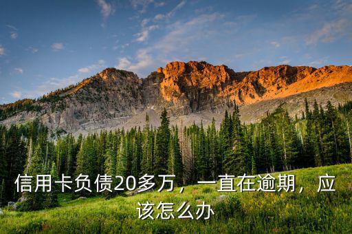 信用卡負(fù)債20多萬，一直在逾期，應(yīng)該怎么辦