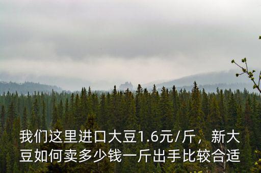 我們這里進口大豆1.6元/斤，新大豆如何賣多少錢一斤出手比較合適