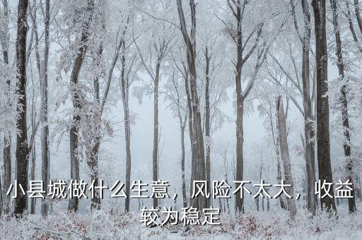 小縣城做什么生意，風險不太大，收益較為穩(wěn)定