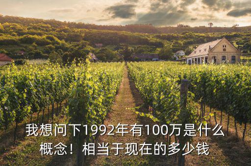 我想問下1992年有100萬是什么概念！相當(dāng)于現(xiàn)在的多少錢