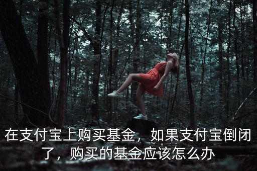在支付寶上購買基金，如果支付寶倒閉了，購買的基金應(yīng)該怎么辦