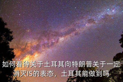 如何看待關(guān)于土耳其向特朗普關(guān)于一定消滅IS的表態(tài)，土耳其能做到嗎
