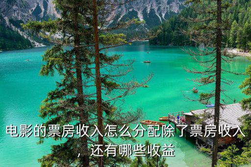 電影的票房收入怎么分配除了票房收入，還有哪些收益