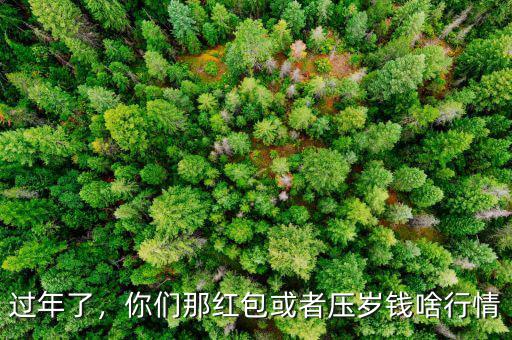 過年了，你們那紅包或者壓歲錢啥行情