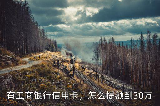 有工商銀行信用卡，怎么提額到30萬