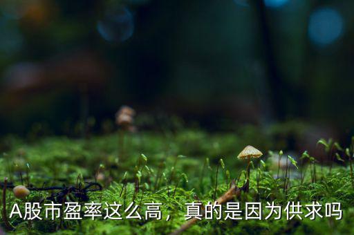 A股市盈率這么高，真的是因?yàn)楣┣髥? class=