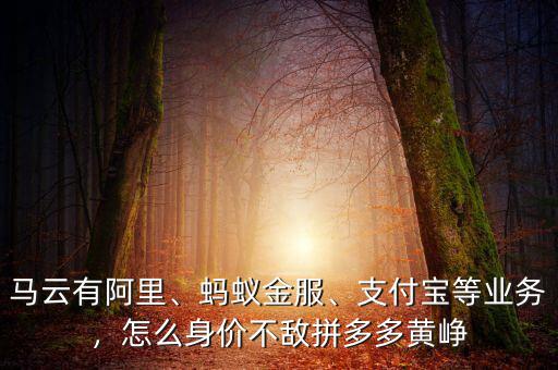 馬云有阿里、螞蟻金服、支付寶等業(yè)務(wù)，怎么身價(jià)不敵拼多多黃崢
