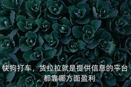 快狗打車，貨拉拉就是提供信息的平臺，都靠哪方面盈利