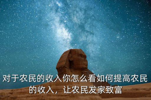 對于農(nóng)民的收入你怎么看如何提高農(nóng)民的收入，讓農(nóng)民發(fā)家致富