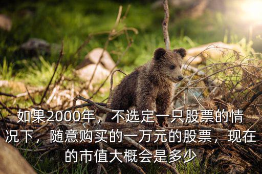如果2000年，不選定一只股票的情況下，隨意購買的一萬元的股票，現(xiàn)在的市值大概會是多少