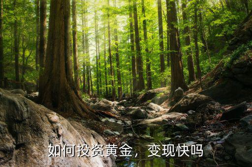 如何投資黃金，變現(xiàn)快嗎