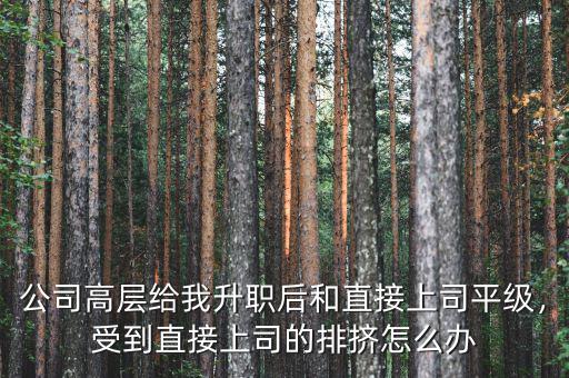 公司高層給我升職后和直接上司平級，受到直接上司的排擠怎么辦