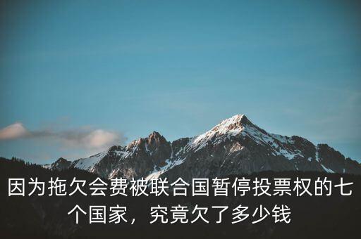 因?yàn)橥锨窌?huì)費(fèi)被聯(lián)合國(guó)暫停投票權(quán)的七個(gè)國(guó)家，究竟欠了多少錢(qián)