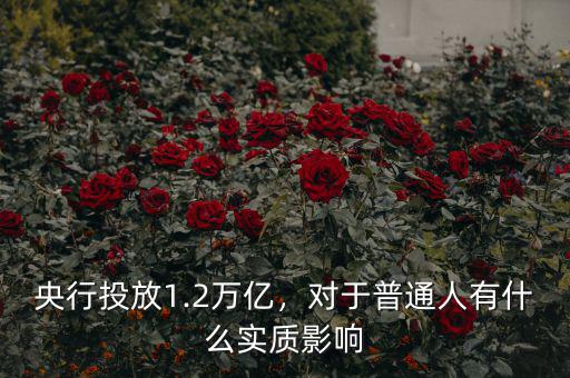 央行投放1.2萬億，對(duì)于普通人有什么實(shí)質(zhì)影響