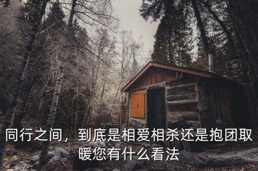 同行之間，到底是相愛相殺還是抱團取暖您有什么看法
