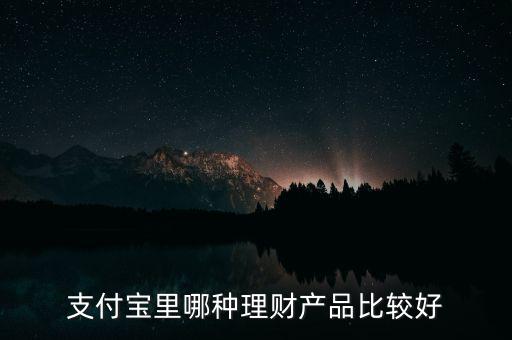 支付寶里哪種理財產品比較好