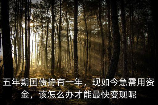 五年期國債持有一年，現(xiàn)如今急需用資金，該怎么辦才能最快變現(xiàn)呢