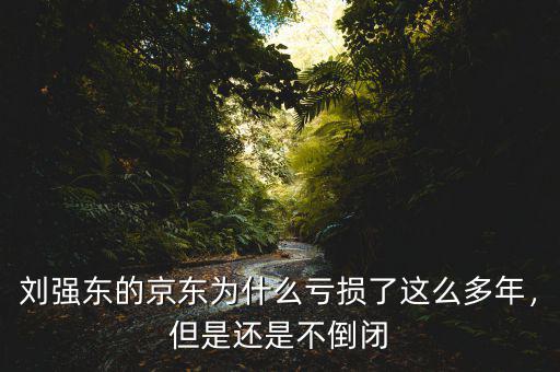 劉強(qiáng)東的京東為什么虧損了這么多年，但是還是不倒閉