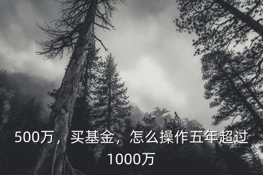 500萬，買基金，怎么操作五年超過1000萬