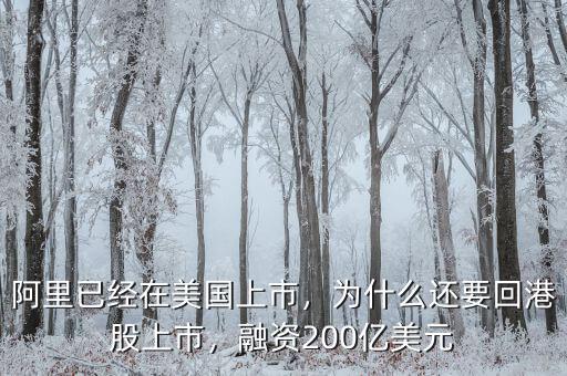 阿里已經(jīng)在美國上市，為什么還要回港股上市，融資200億美元