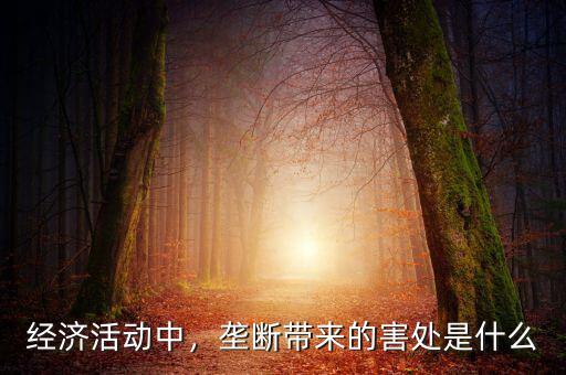 經(jīng)濟(jì)活動(dòng)中，壟斷帶來的害處是什么