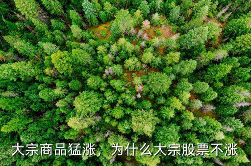 大宗商品猛漲，為什么大宗股票不漲