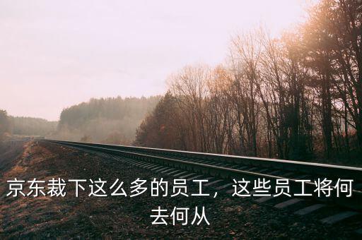 京東裁下這么多的員工，這些員工將何去何從