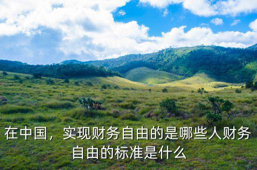 在中國，實現(xiàn)財務(wù)自由的是哪些人財務(wù)自由的標(biāo)準(zhǔn)是什么