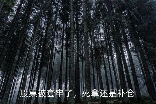 股票被套牢了，死拿還是補(bǔ)倉