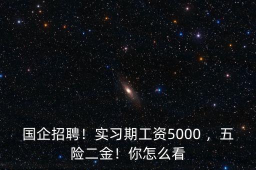 國企招聘！實習期工資5000 ，五險二金！你怎么看