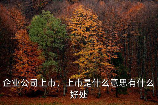 企業(yè)公司上市，上市是什么意思有什么好處