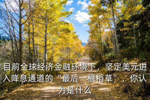 目前全球經(jīng)濟(jì)金融環(huán)境下，堅(jiān)定美元進(jìn)入降息通道的“最后一根稻草”，你認(rèn)為是什么