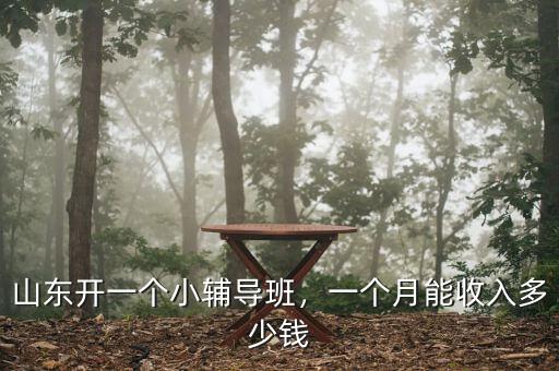 山東開一個(gè)小輔導(dǎo)班，一個(gè)月能收入多少錢