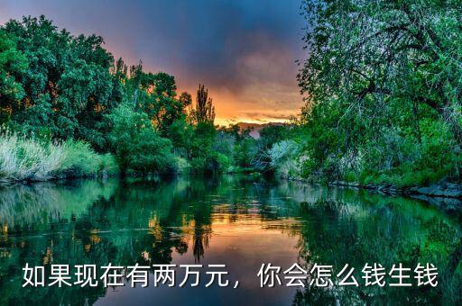 如果現(xiàn)在有兩萬元，你會怎么錢生錢
